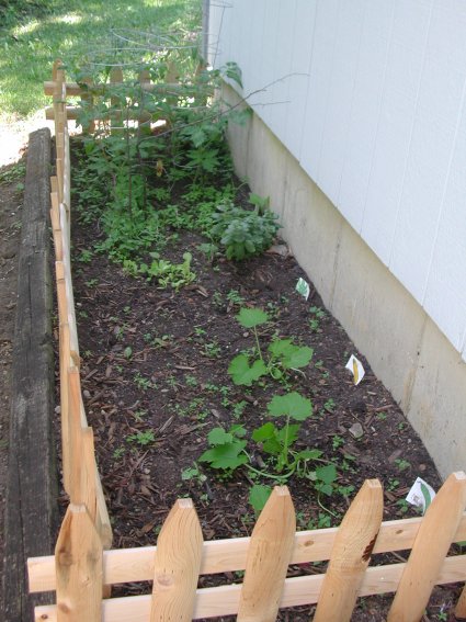 2005 Vegetable Garden